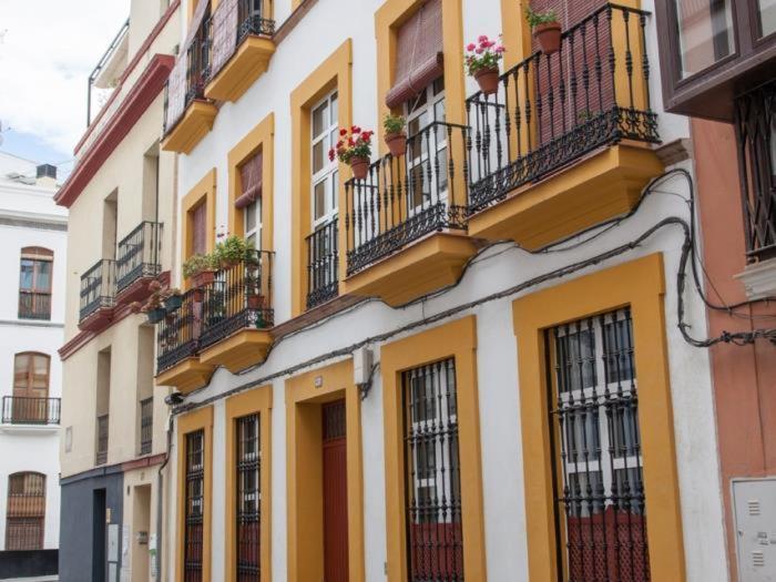 Bonito De Diseno 1 Bed Arenal * Seville